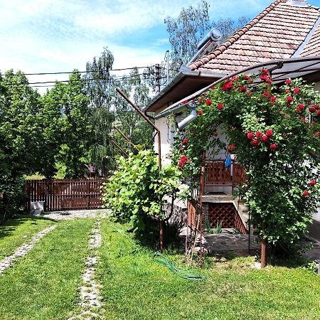 Casa De Vacanta Zsenik Vendeghaz 소바타 외부 사진