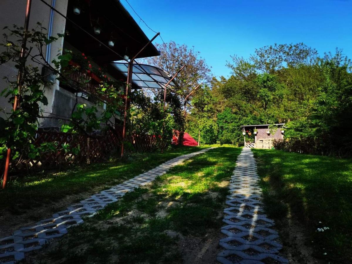 Casa De Vacanta Zsenik Vendeghaz 소바타 외부 사진