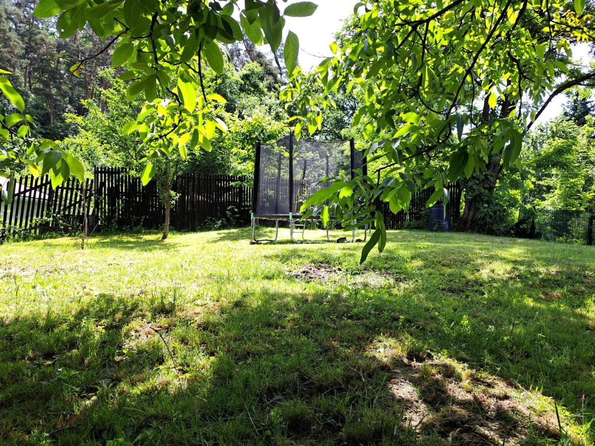 Casa De Vacanta Zsenik Vendeghaz 소바타 외부 사진