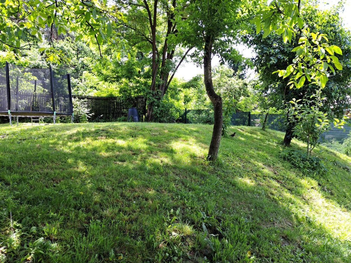 Casa De Vacanta Zsenik Vendeghaz 소바타 외부 사진