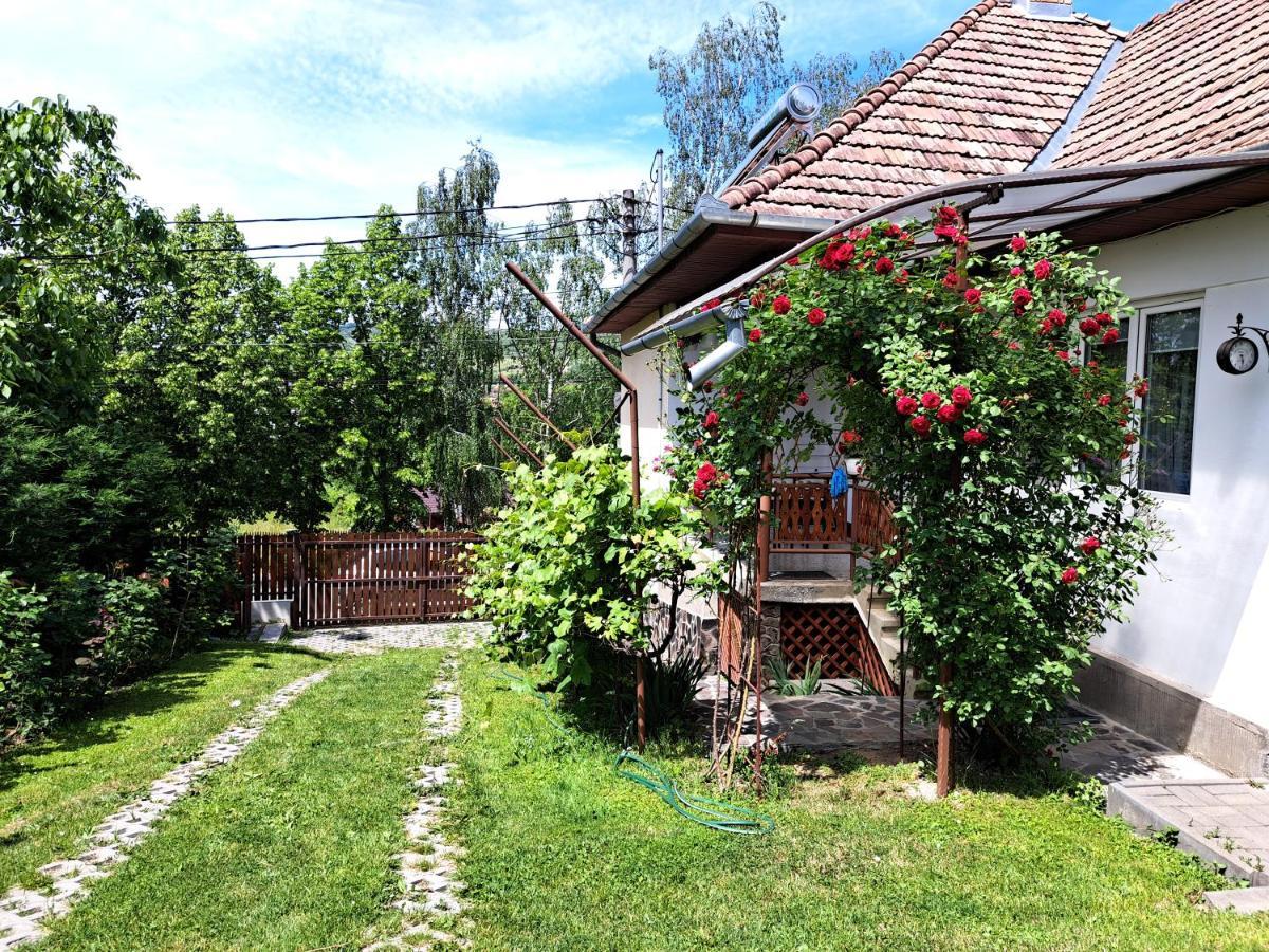 Casa De Vacanta Zsenik Vendeghaz 소바타 외부 사진